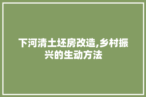 下河清土坯房改造,乡村振兴的生动方法
