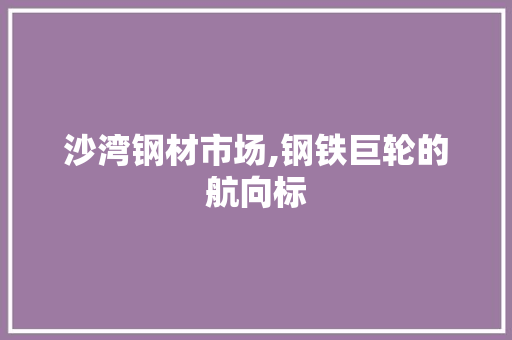 沙湾钢材市场,钢铁巨轮的航向标