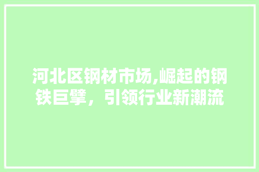 河北区钢材市场,崛起的钢铁巨擘，引领行业新潮流