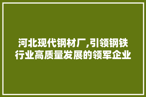 河北现代钢材厂,引领钢铁行业高质量发展的领军企业