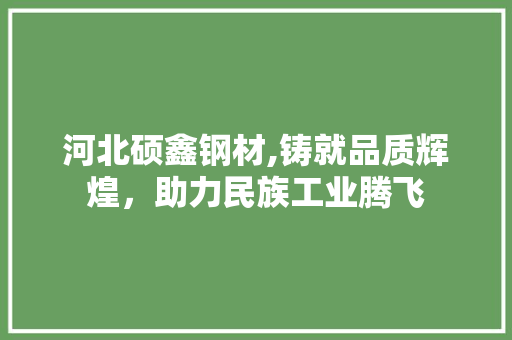 河北硕鑫钢材,铸就品质辉煌，助力民族工业腾飞