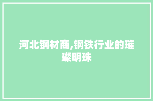 河北钢材商,钢铁行业的璀璨明珠