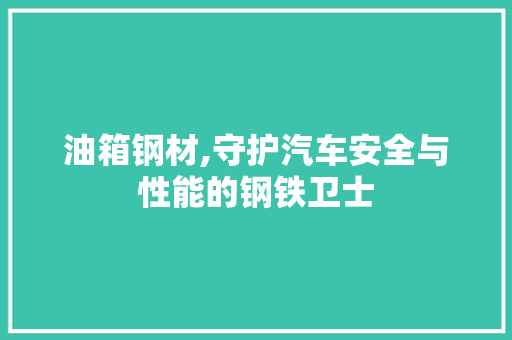 油箱钢材,守护汽车安全与性能的钢铁卫士