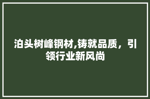 泊头树峰钢材,铸就品质，引领行业新风尚