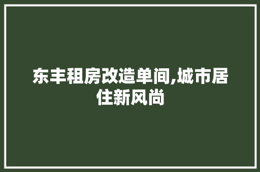 东丰租房改造单间,城市居住新风尚