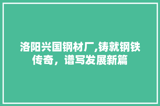 洛阳兴国钢材厂,铸就钢铁传奇，谱写发展新篇