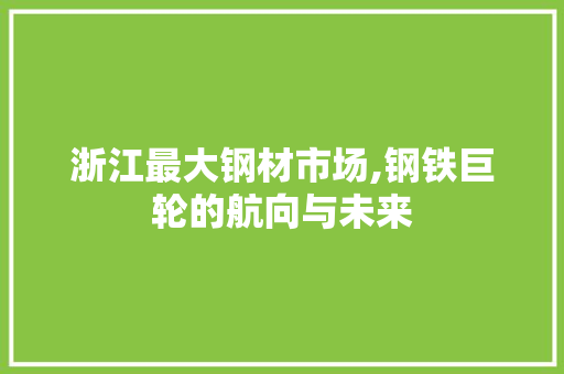 浙江最大钢材市场,钢铁巨轮的航向与未来