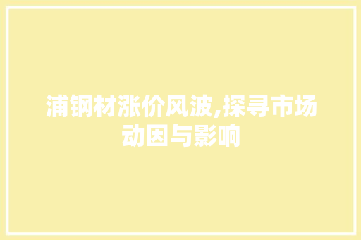 浦钢材涨价风波,探寻市场动因与影响