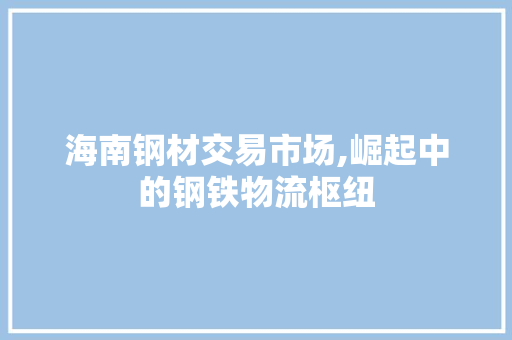 海南钢材交易市场,崛起中的钢铁物流枢纽