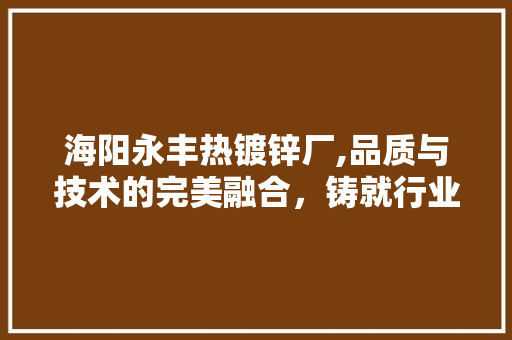 海阳永丰热镀锌厂,品质与技术的完美融合，铸就行业佼佼者