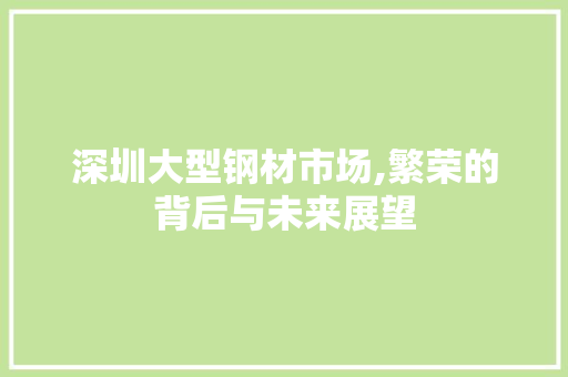 深圳大型钢材市场,繁荣的背后与未来展望