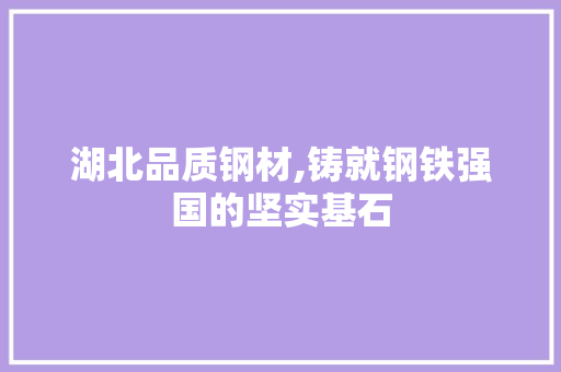 湖北品质钢材,铸就钢铁强国的坚实基石