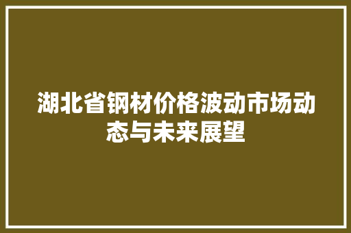 湖北省钢材价格波动市场动态与未来展望