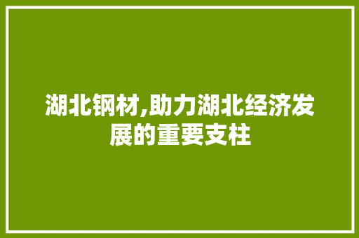 湖北钢材,助力湖北经济发展的重要支柱