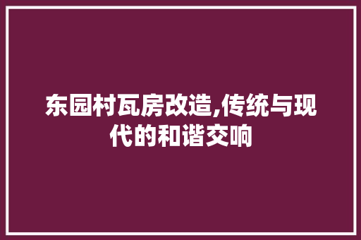 东园村瓦房改造,传统与现代的和谐交响