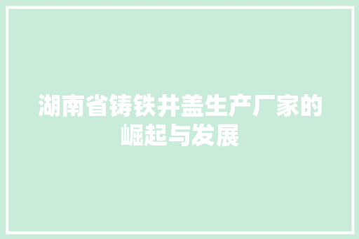 湖南省铸铁井盖生产厂家的崛起与发展