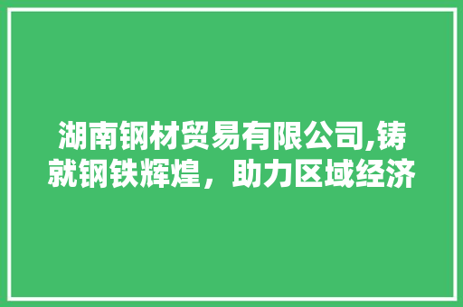 湖南钢材贸易有限公司,铸就钢铁辉煌，助力区域经济发展