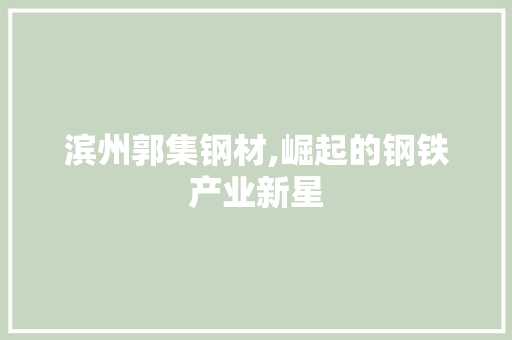 滨州郭集钢材,崛起的钢铁产业新星