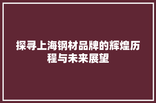 探寻上海钢材品牌的辉煌历程与未来展望
