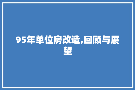 95年单位房改造,回顾与展望