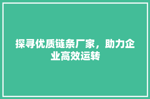 探寻优质链条厂家，助力企业高效运转
