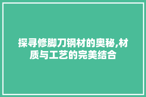 探寻修脚刀钢材的奥秘,材质与工艺的完美结合