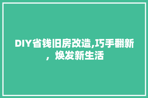 DIY省钱旧房改造,巧手翻新，焕发新生活