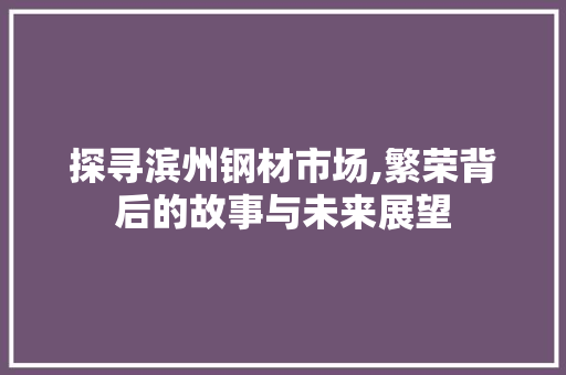 探寻滨州钢材市场,繁荣背后的故事与未来展望