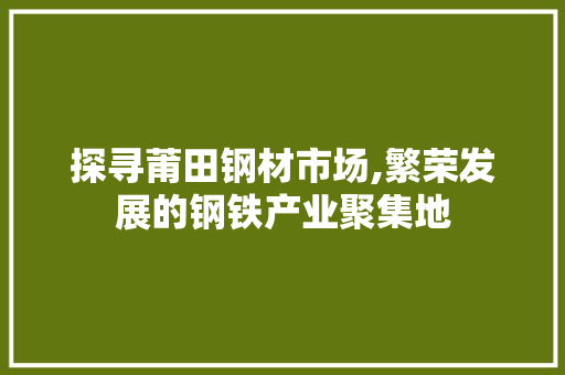探寻莆田钢材市场,繁荣发展的钢铁产业聚集地