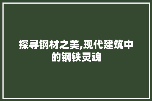 探寻钢材之美,现代建筑中的钢铁灵魂
