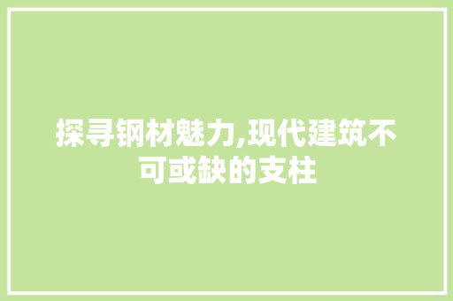 探寻钢材魅力,现代建筑不可或缺的支柱