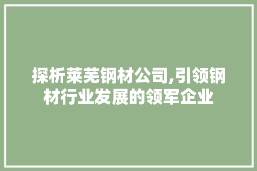 探析莱芜钢材公司,引领钢材行业发展的领军企业