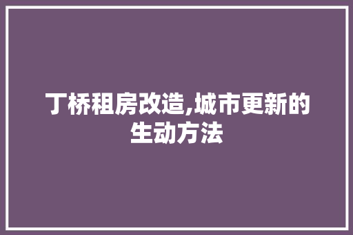 丁桥租房改造,城市更新的生动方法