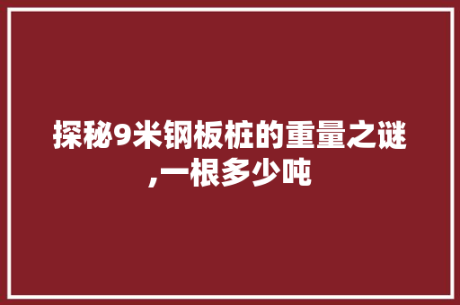 探秘9米钢板桩的重量之谜,一根多少吨