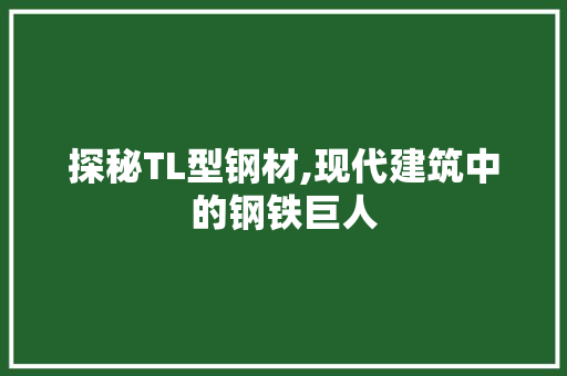 探秘TL型钢材,现代建筑中的钢铁巨人