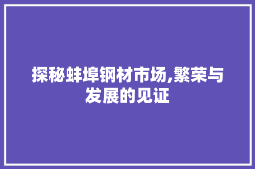 探秘蚌埠钢材市场,繁荣与发展的见证