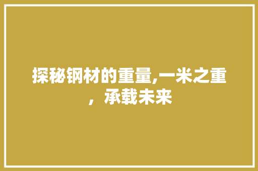 探秘钢材的重量,一米之重，承载未来