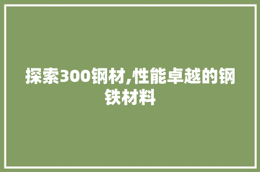 探索300钢材,性能卓越的钢铁材料