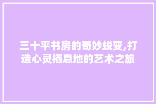 三十平书房的奇妙蜕变,打造心灵栖息地的艺术之旅