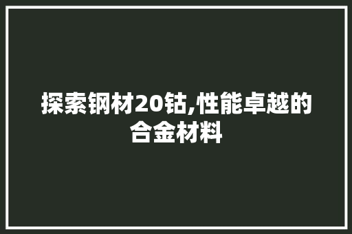 探索钢材20钴,性能卓越的合金材料