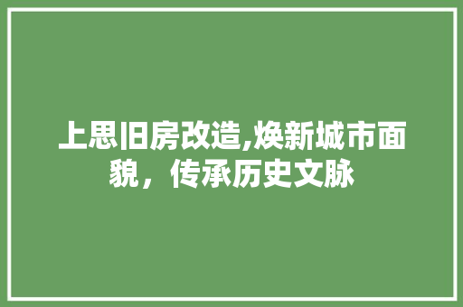 上思旧房改造,焕新城市面貌，传承历史文脉