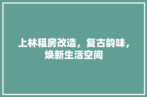 上林租房改造，复古韵味，焕新生活空间
