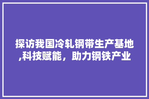 探访我国冷轧钢带生产基地,科技赋能，助力钢铁产业转型升级