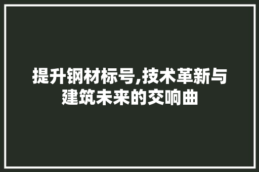 提升钢材标号,技术革新与建筑未来的交响曲