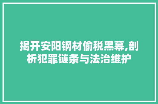 揭开安阳钢材偷税黑幕,剖析犯罪链条与法治维护
