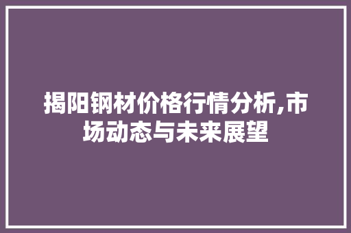 揭阳钢材价格行情分析,市场动态与未来展望