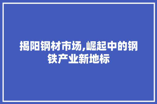 揭阳钢材市场,崛起中的钢铁产业新地标