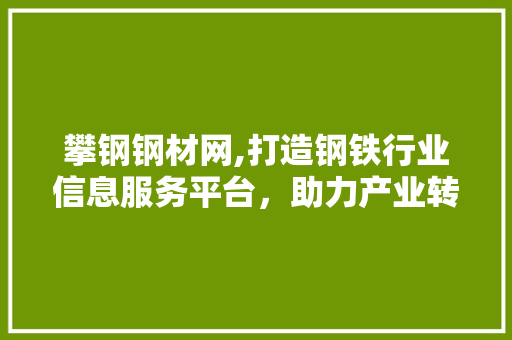 攀钢钢材网,打造钢铁行业信息服务平台，助力产业转型升级