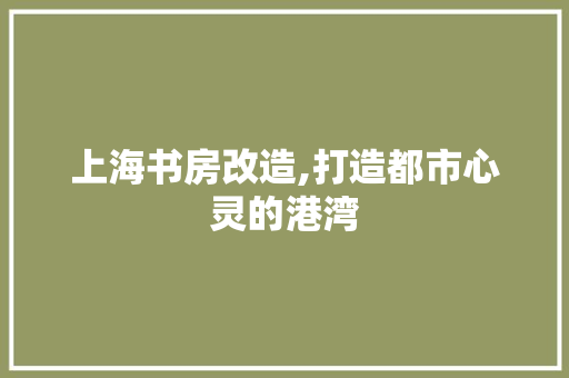 上海书房改造,打造都市心灵的港湾