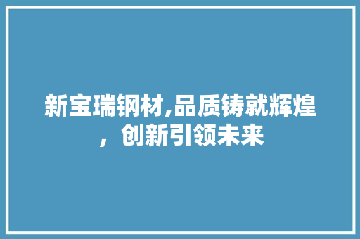新宝瑞钢材,品质铸就辉煌，创新引领未来